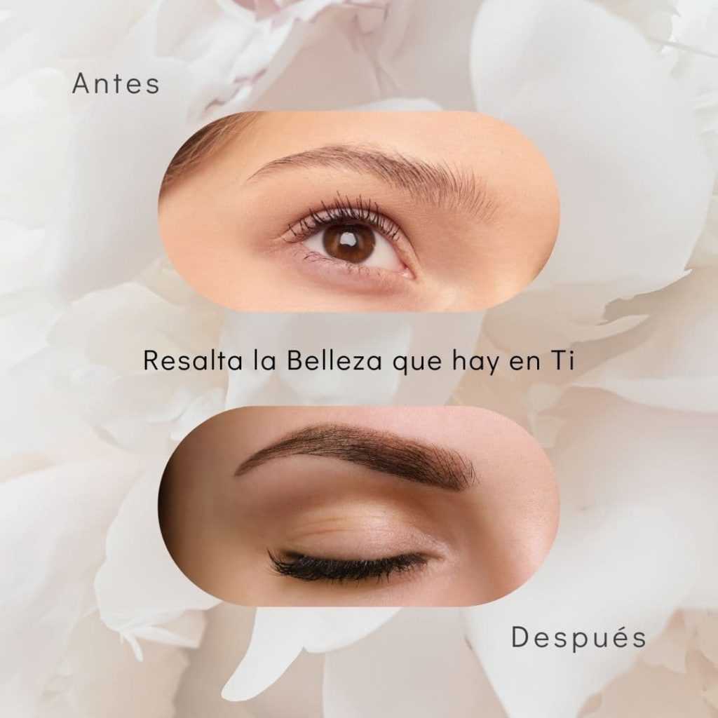 La importancia de unas Cejas y Pestañas Bellas y Sanas